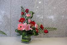 1516279429107829.jpg 说明: C:\Users\lenovo\AppData\Local\Temp\WeChat Files\464e3fc1d10a31753232f93f93113854.jpg