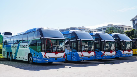 1718267240805955.png wps8.png