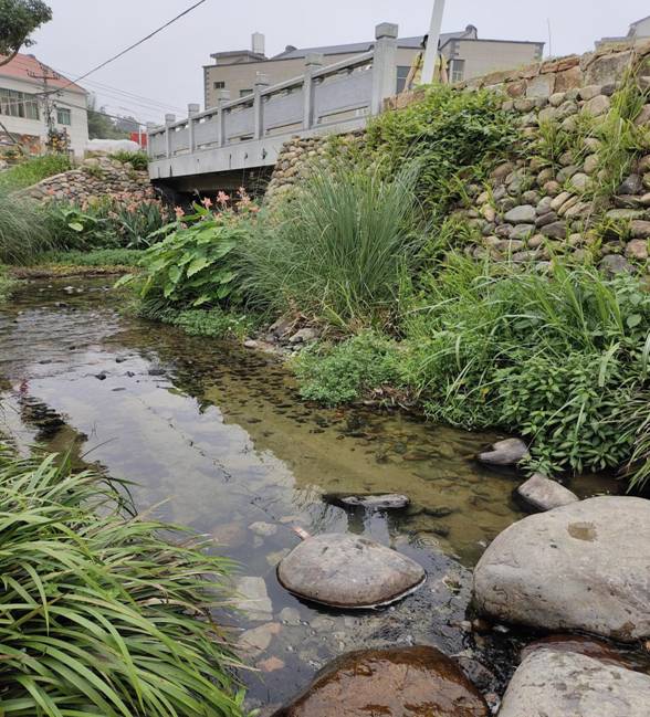 1623381888951826.jpg 治理后清澈的九龙溪