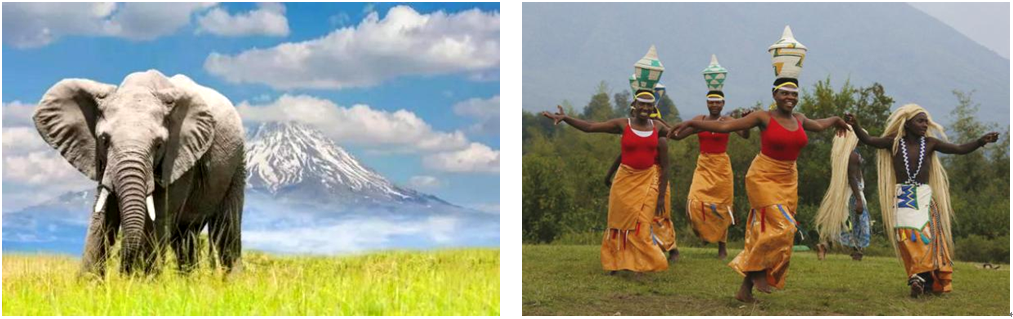 1532679872890948.png 26.png